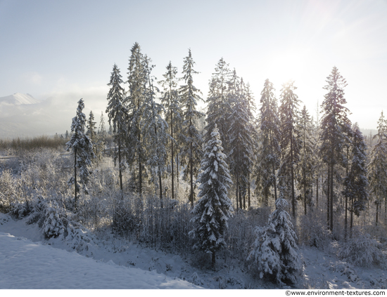 Background Forests