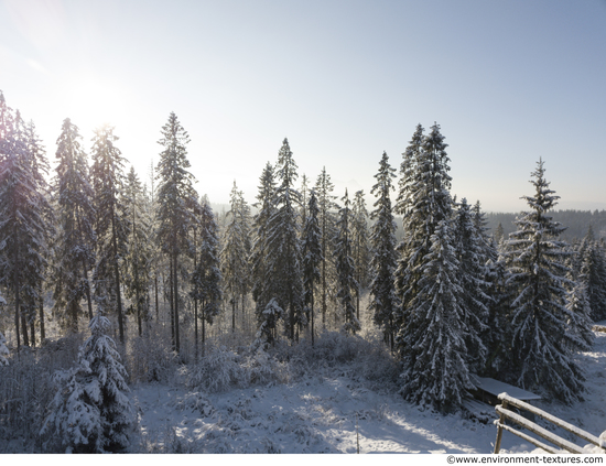 Background Forests