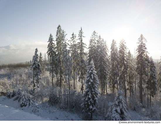 Background Forests