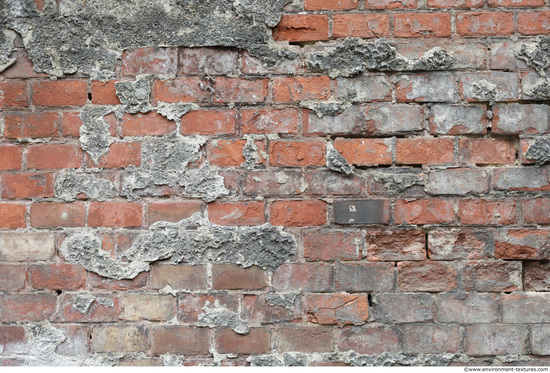 Wall Bricks Plastered