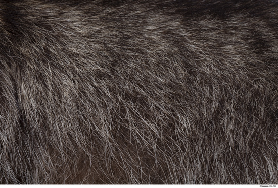 Fur