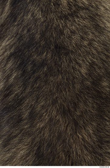 Fur