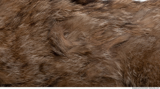 Fur