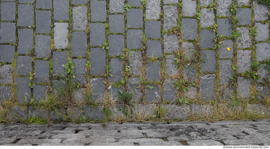 Overgrown Floors