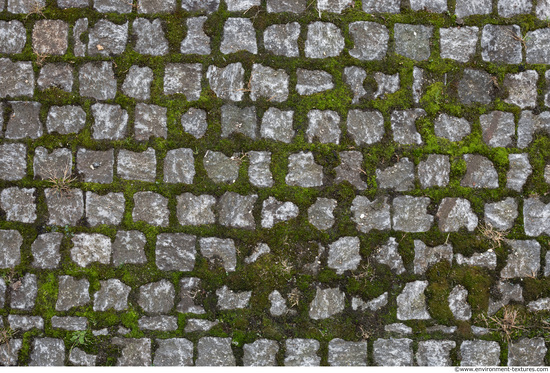 Overgrown Floors