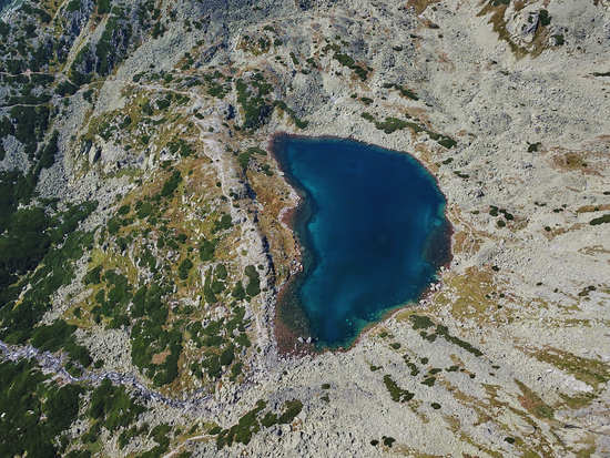 Lake from Above