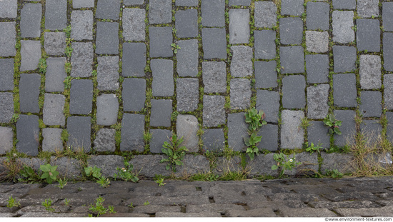 tile floor stones overgrown