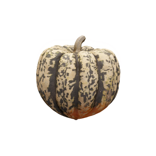 Cleaned Pumpkin 3D Scan