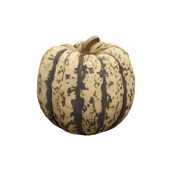 Cleaned Pumpkin 3D Scan