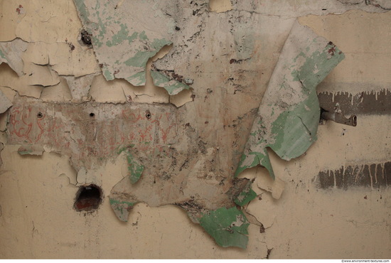 Wall Plaster Paint Peeling