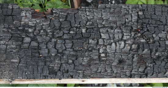 Burned Wood