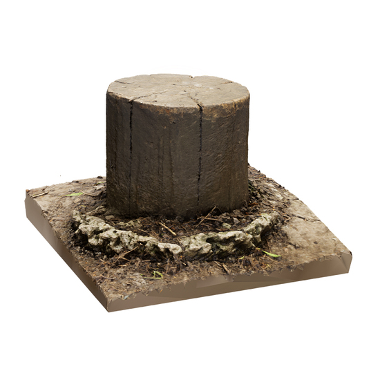 Stump Wood RAW 3D Scan