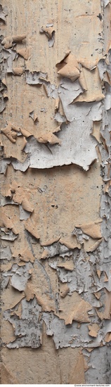 Wall Plaster Paint Peeling