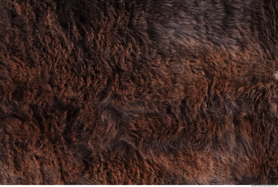 Fur