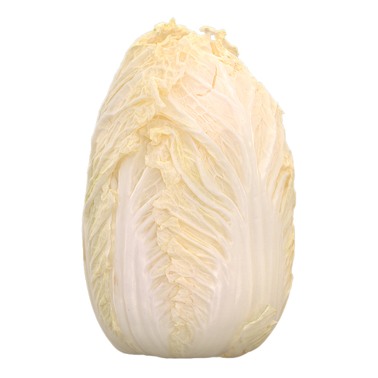 Food Chinese Cabbage 3D Scan