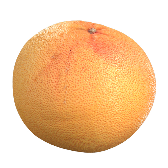 Grapefruit 3D Scan Retopo