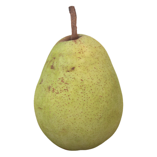 Pear 3D Scan Retopo