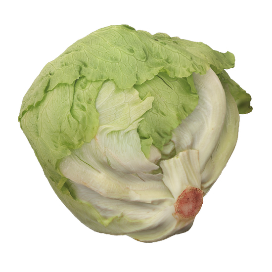 Lettuce 3D Scan Retopo