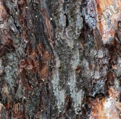 Seamless Bark