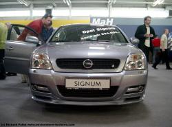 Photo Reference of Opel Signum