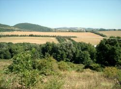 Photo Textures of Background Nature Summer