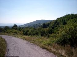 Photo Textures of Background Nature Summer