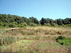 Photo Textures of Background Nature Summer