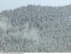 Photo Textures of Background Nature Winter