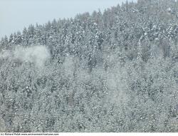 Photo Textures of Background Nature Winter