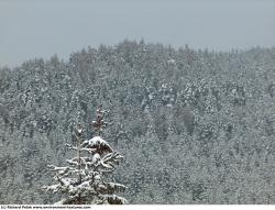 Photo Textures of Background Nature Winter