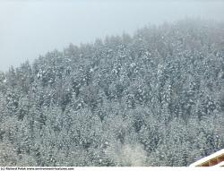 Photo Textures of Background Nature Winter