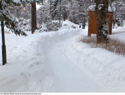 Photo Textures of Background Nature Winter