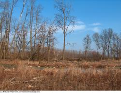 Photo Textures of Background Nature Spring