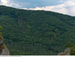 Photo Textures of Background Forest