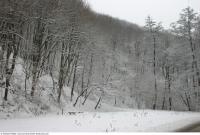 background nature winter