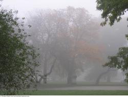 Photo Textures of Background Nature Autumn