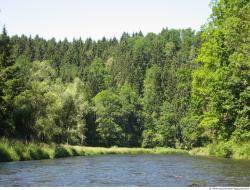 Photo Reference of Background Forest