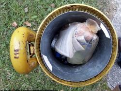 Photo Textures of Container Trash