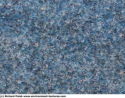 Carpet Fabric