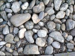 Cobble Gravel