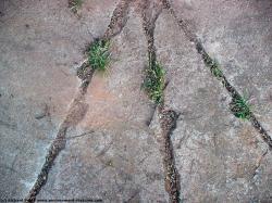 Photo Texture of Concrete Ground Damaged