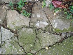 Photo Texture of Concrete Ground Damaged