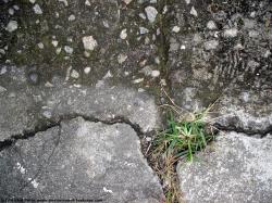 Photo Texture of Concrete Ground Damaged