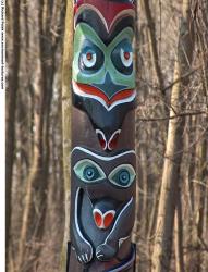 Photo Texture of Totems