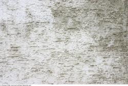 Photo Textures of Wall Plaster