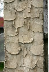 Photo Textures of Stucco