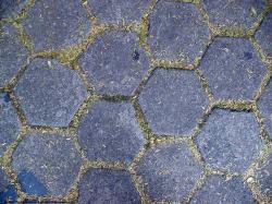 Hexagonal Floors