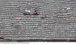 Photo Texture of Roof