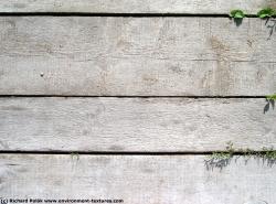 Photo Textures of Wood Planks Bare