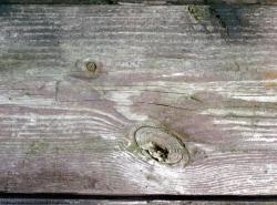 Photo Textures of Wood Bare